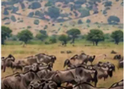 Ngorongoro Crater in Tanzania