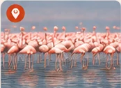 Lake Nakuru