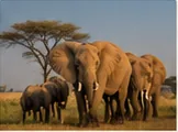 10 Days Kenya Classic Safari