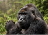 Rwanda destination