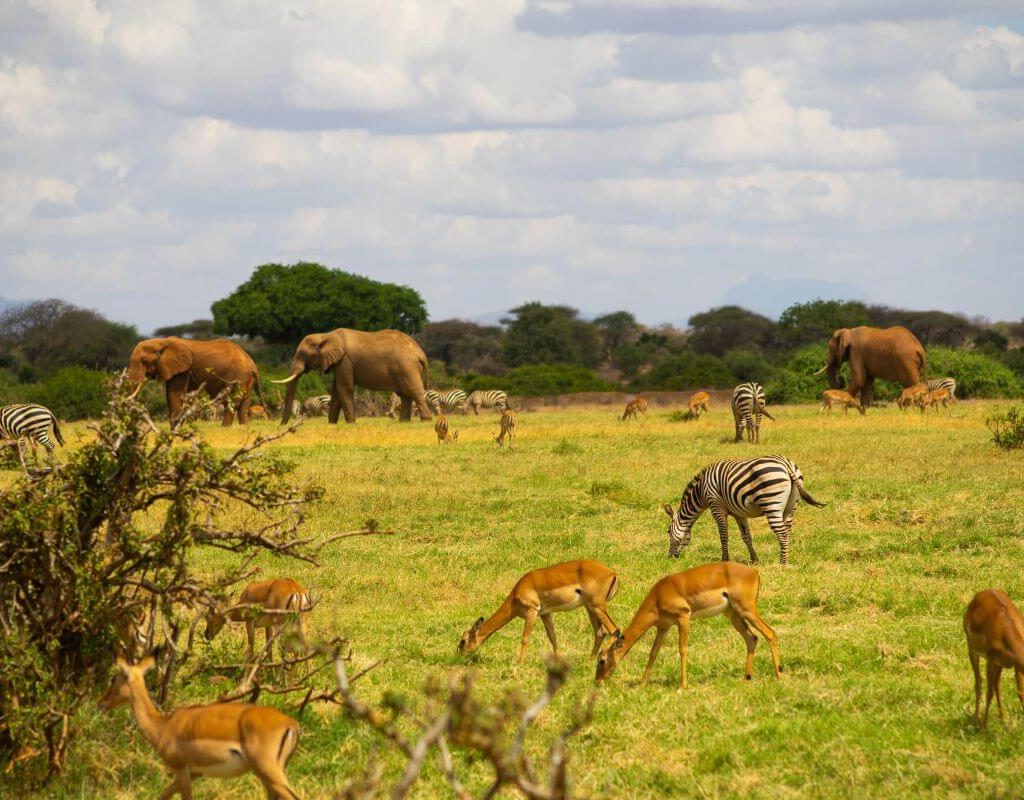 Wonderful Attractions In Kenya