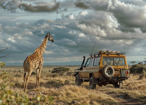 Top Things to Know Before Booking a Luxury Uganda Safari