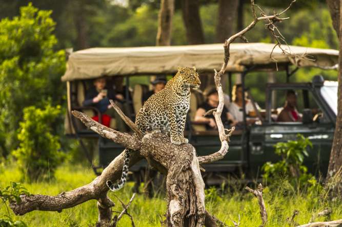 best african safaris in kenya