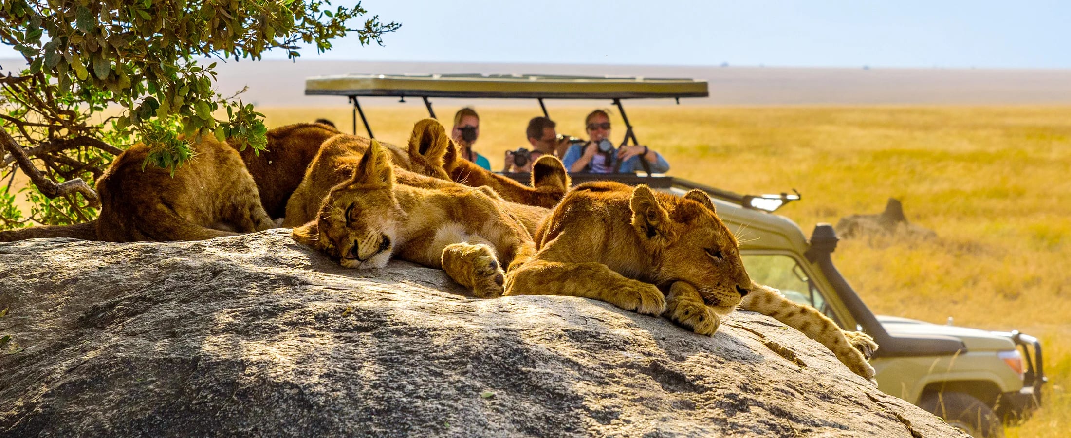 wildlife safari in Kenya