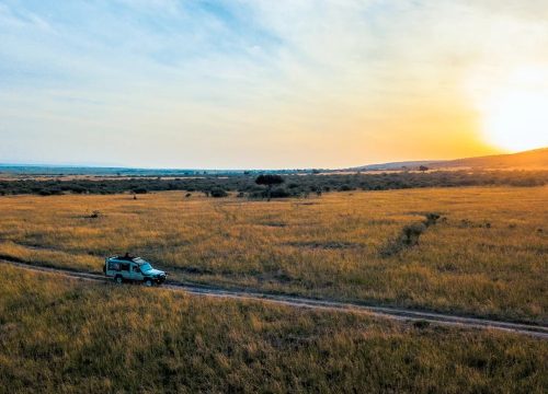 Understanding Kenya Safari Packages: Destinations, Lodges, and Activities