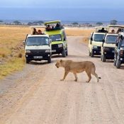 3 days tsavo east and west safari