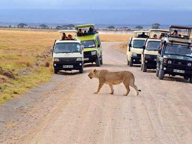 3 days tsavo east and west safari