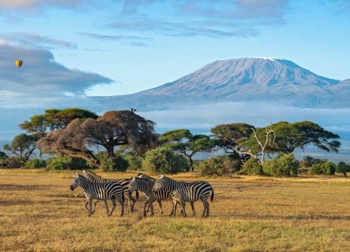 Maasai Mara Safari Kenya: A Closer Look at Its Wildlife and Ecosystems