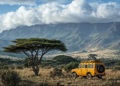 Essential Things to Know Before Booking an African Safari in Kenya
