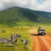 safari trips to kenya
