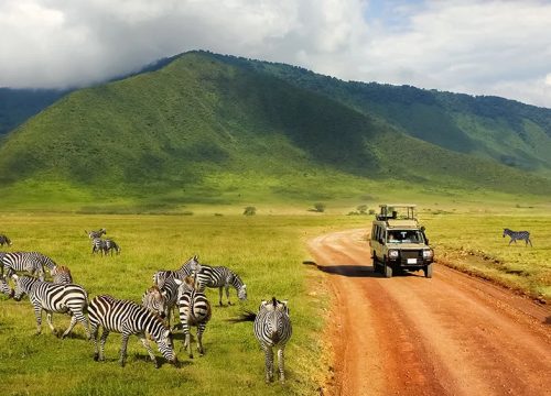 Safari Trips to Kenya for Nature Lovers, Families, and Adventure Seekers
