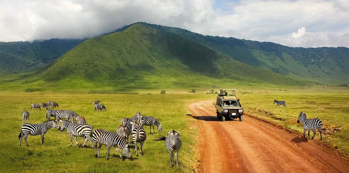 safari trips to kenya