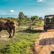 Tanzania safari packages