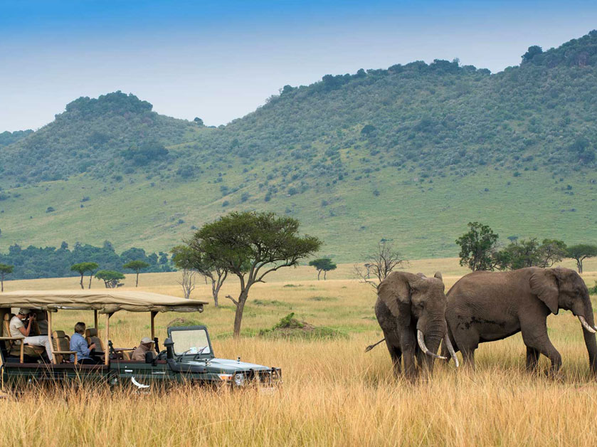 African safari tours Kenya