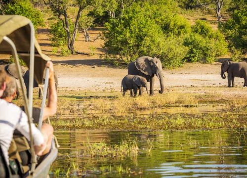Essential Tips for Planning Safari Tours East Africa Successfully