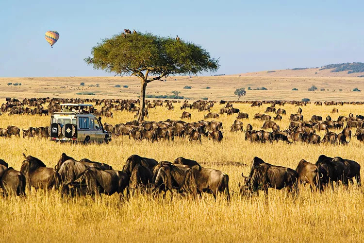 African Safari in Kenya