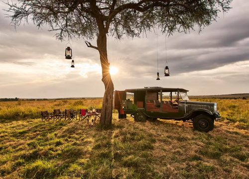 How to Choose the Best Luxury Safari Kenya Experience for Your Travel Goals