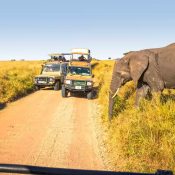 Tanzania safari packages