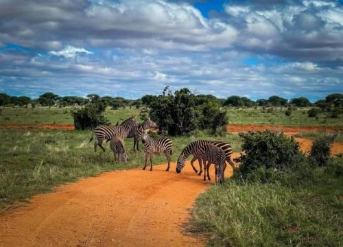 Planning a Memorable 2 Days Tsavo East Safari Kenya for Nature Lovers