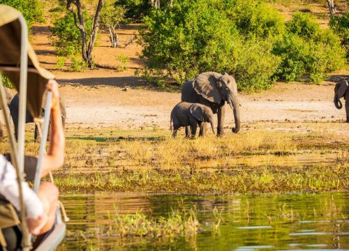 Safari Trip Routes in Kenya and What Each Region Is Known For