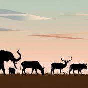 How to Choose African Safari Tour Operators with Fair Transparent Pricing