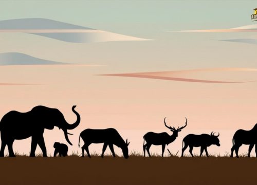 How to Choose African Safari Tour Operators with Fair Transparent Pricing