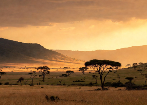 7 Days Group Budget Safari Masai Mara Guide