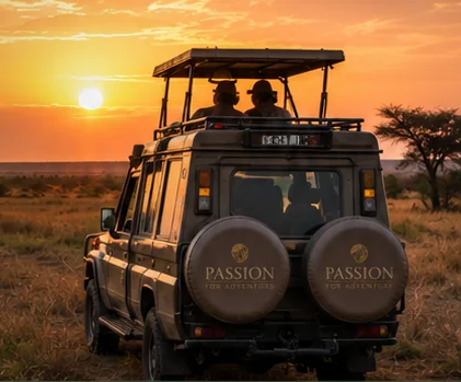Best Time to Visit East Africa for Safari
