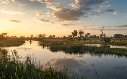 Predator Safaris in Botswana
