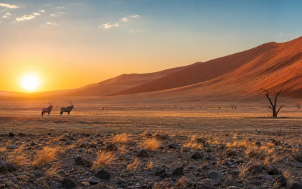 Etosha National Park