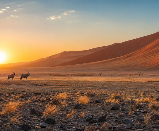 Best time to visit Namibia