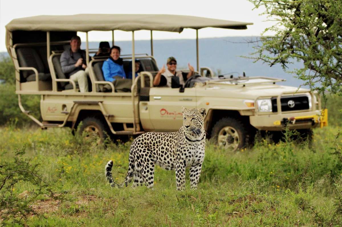 5 Days Ngorongoro & Serengeti Safari (Fly in – Fly out) gallery image 2