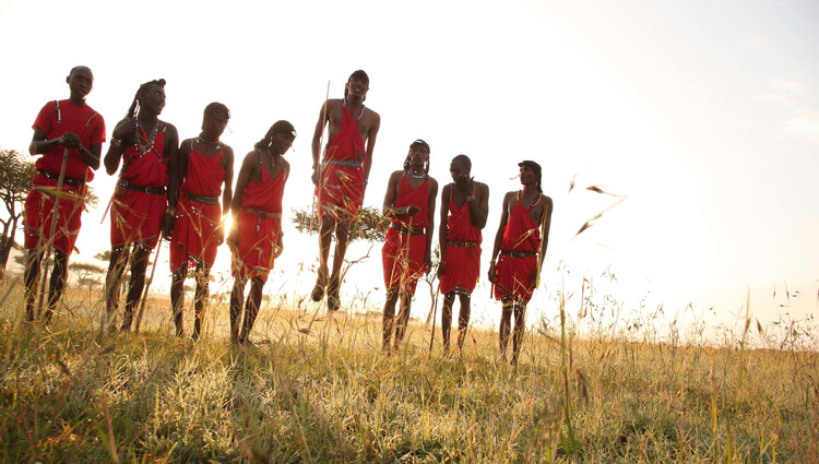 3 Days Serengeti Game Fly in Package gallery image 5