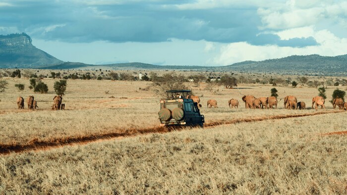 8 Days Best Kenya Flying Safari Itinerary gallery image 4