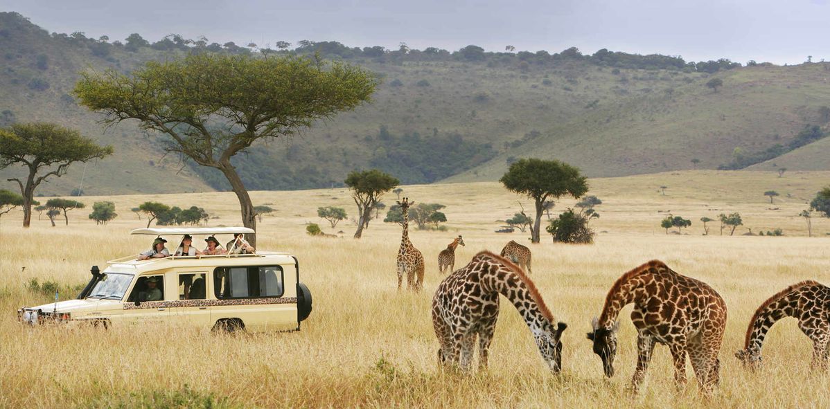 7-Day Tanzania Safari - Tarangire - Serengeti - Ngorongoro gallery image 2
