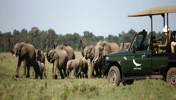 6 Days Tsavo National Park & Amboseli gallery image 1