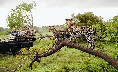 5 Days Ngorongoro & Serengeti Safari (Fly in – Fly out) gallery image 3
