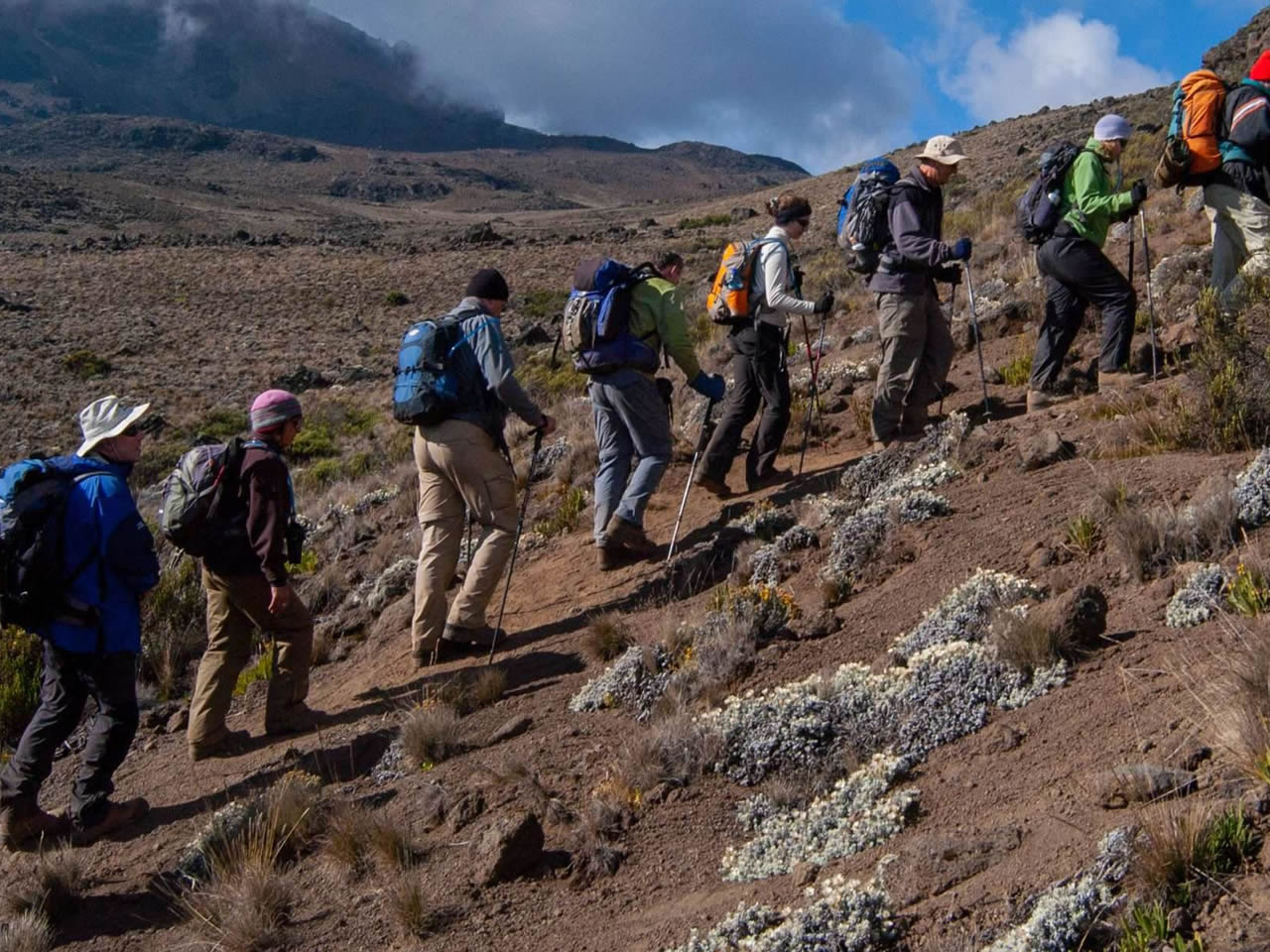 8 Days Ultimate Kenya Safari Adventure gallery image 4