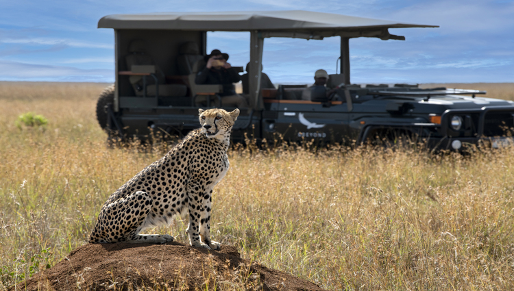 3 Days Kenya's Premier Maasai Mara Safari gallery image 2